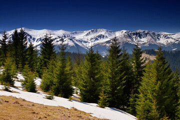 Sticker - mountain landscape