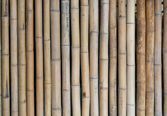  Old style bamboo wooden fence background.