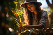 A beautiful Asian woman is harvesting apricots.