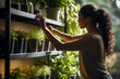 © Ala - A beautiful Afro-American woman in a yellow jacket takes care of potted plants on the shelves.