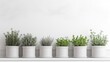 a row of potted plants on a white shelf against a white wall.