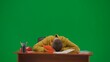 Portrait of kid boy on chroma key green screen. Schoolboy in jeans sitting at the desk doing homework, taking nap sleeping on table. Middle front shot.
