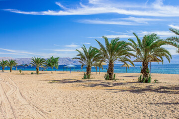 Wall Mural - shore line sand of Red sea beach vacation resort style photography touristic concept sunny scenic view with water and palm trees