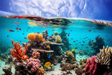 Fototapeta Fototapety do akwarium - coral reef and fish, coral reef in the red, Bright paints of coral reeves, Underwater world. Coral fishes of Red sea, generative ai