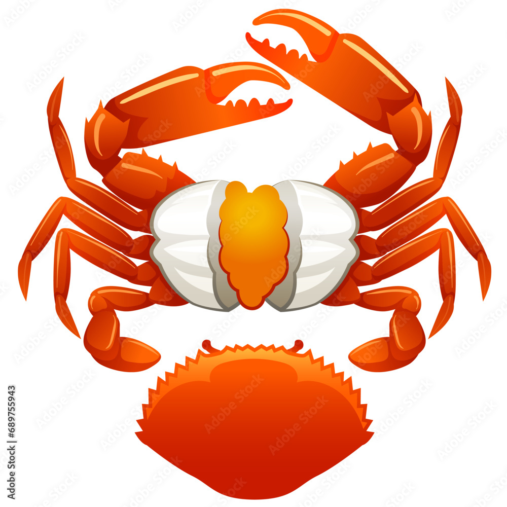 Seafood Raw crab isolated on white background. Hand drawn sketch of ...