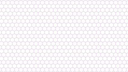 Canvas Print - Seamless pattern of the hexagonal netting. Metal hexagon fence background texture on a white background. 