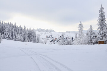 Canvas Print - Forest in winter, heavy snow.