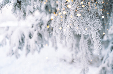 Wall Mural - icy snow-covered christmas tree branches with burning garland lights.