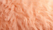 Gentle and textured Peach Fuzz background, plush and cozy.