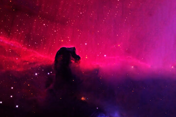 Wall Mural - horse head nebula. elements of this image furnished by nasa