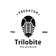 Vintage Retro Hipster Trilobite Logo Vector Outline Silhouette Art Icon