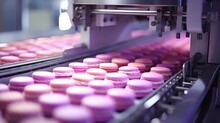 Macaron Production Line: Automated Process In The Bakery