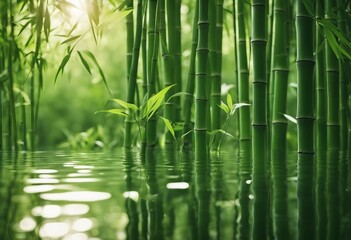 Wall Mural - Bamboo Background - Lush Foliage With Reflection In The Water