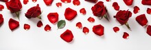 Valentine's Day Or Birthday Or Mother's Day Concept, Background Of Red Rose Petals And Roses On White Background, Banner