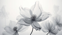 Fond De Fleurs Transparentes. Nature, Fleur, Noir Et Blanc. Motif Floral Pour Décoration, Création Graphique Et Conception.