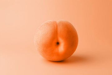 A single ripe peach fruit on minimal peach fuzz color background. Modern trendy tone hue shade