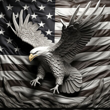 3D Gray Scale Statuesque Style Soaring American