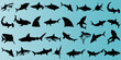Shark silhouette vector illustration, Featuring Sharks black silhouettes of great white, hammerhead, tiger, bull sharks. Perfect for marine, oceanic, sea life, summer, tropical themes