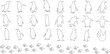 Conjunto de ilustraciones vectoriales de arte de línea de pingüinos, contorno de pingüinos para diseños de invierno, temas de animales. Presenta pingüinos de arte lineal en blanco y negro en varias
