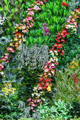 Wall Mural - garlands of fresh flowers on subtropic green bush