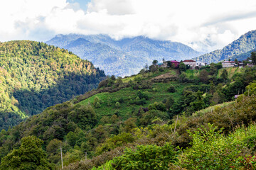 Sticker - travel to Georgia - white clouds over overgrown mountains in Machakhela national park in Adjara on sunny autumn day