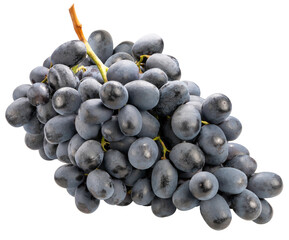 Wall Mural - black grapes isolated on white background, black or purple grape on white background png file.