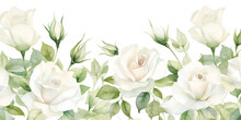 Watercolor White Roses On White Background 