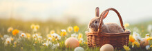 Easter Basket With Cute Bunny And Easter Eggs On A Colorful Blooming Spring Meadow. Beautiful Natural Image With Vintage Effect And Selective Focus. Ideal As Web Banner Or In Social Media. Copy Space.