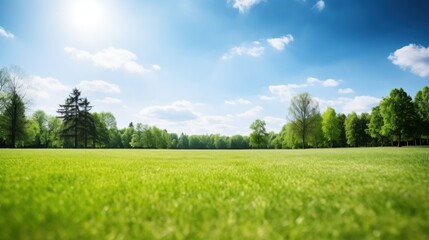 Beautiful blurred background image of spring nature with a neatly trimmed lawn surrounded by trees against a blue sky with clouds on a bright sunny day.