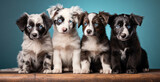Fototapeta  - a group of four puppies sitting next to each other on a table with blue eyes and a blue background, symmetrical eyes, a stock photo, incoherents, generative ai