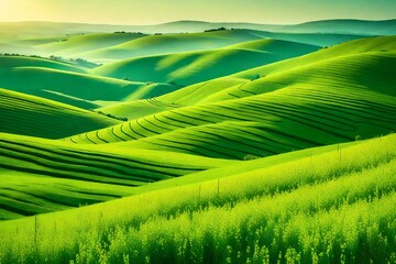 Wall Mural - idyllic nature scene of rolling green hills and vibrent  floral field