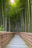 Fototapeta Sypialnia - A Bamboo Grove at Adashino Nenbutsuji Temple in Kyoto, Japan