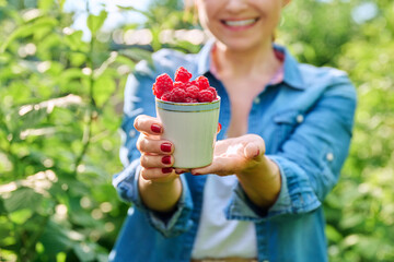 Wall Mural - Close-up of cup with ripe raspberries in hands of woman in summer garden