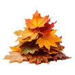 © Stitch - Pile of autumn leaves isolated on transparent or white background, png