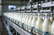 filled milk bottle in a dairy factory