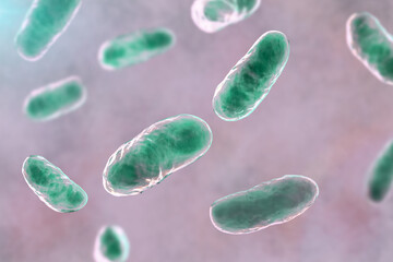 Poster - Haemophilus influenzae bacteria, 3D illustration