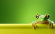 Creative animal concept, green tree frog peeking over green pastel bright background.