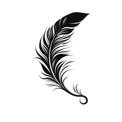 Wall Mural - Beautiful Feather illustration