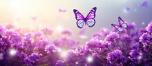 How Beautifully Beautiful Butterflies Are Floating On Purple Flowers It Looks Very Beautiful Surrounded By Green Nature Open Sky And Shining Sun Around. Website Header. Creative Banner