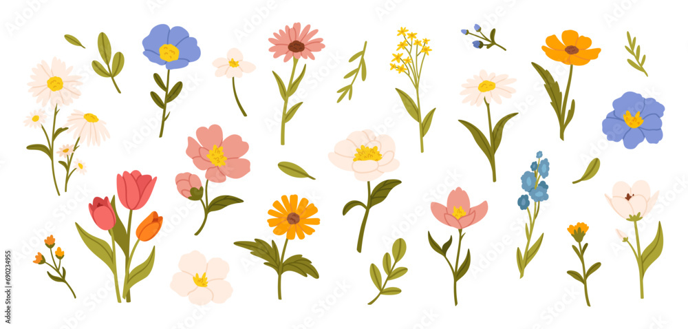 Spring flowers. Cartoon wildflowers chamomile, tulip and forget-me-not, cornflower and sage with leaves, floral botanical elements. Blossom of garden flower vector set