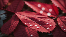 Red Leaf With Water Drops Generated Ai
