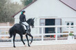 Equestrian sports, dressage, gallop. Shooting from the back