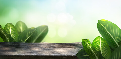 Wall Mural - a empty natural wooden in white background