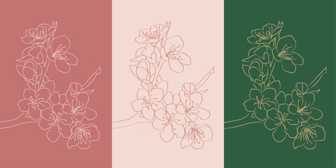 Fototapete - cherry blossom flower hand drawing sakura color 3 type design