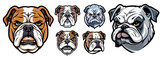 Fototapeta Młodzieżowe - Set of dog heads of the English bulldog breed, with natural coat color, multicolored vector illustration in mascot logo style