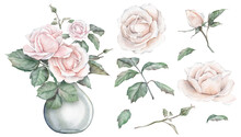 Watercolor Composition From White Cream Roses And Green Leaves In Glass Jar. Hand Drawn Illustration Isolated White Background. Set Elements Hand Painted Plant Twigs With Peach Fuzz Rose For Design