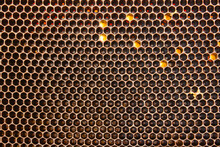 Black Bee Honeycombs Close-up As A Background.