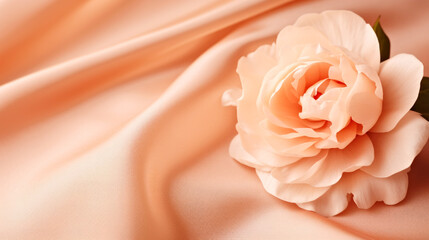 Sticker - A single flower sitting on top of a pink cloth. Monochrome peach fuzz background.