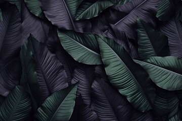 Wall Mural - Abstract dark leaves for tropical leaf background.