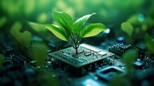 Circuit Board With Microchip Processor Technology And Plant Sprout On Blur Background.